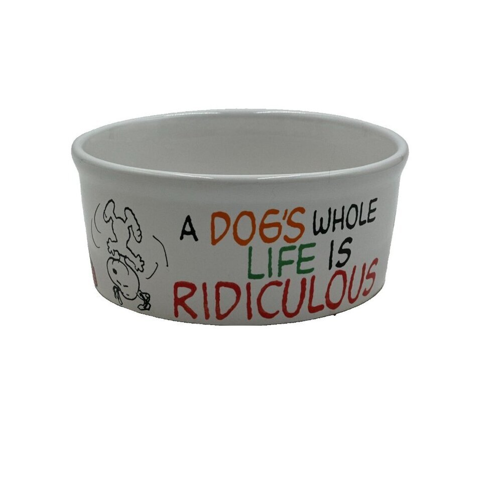 NIB Peanuts Snoopy Dog Treat Maker - BONUS Ceramic Bowl! Dog Biscuit Baker Gift - Picture 8 of 11